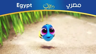 هاي أنا دوري البحث عن دوري مصري 