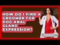 How Do I Find A Groomer For Dog Anal Gland Expression - Ask A Pet Vet