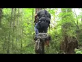 Lone Wolf Sit Climb Treestand Review