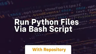 run python files via bash script