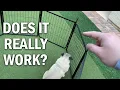 FXW Rollick Dog Playpen Review - Does It Really Work
