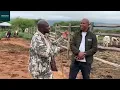 Lagu Emmanuel Mudau of Mathuba Genetics talking about his Boran and Nguni cross cattle
