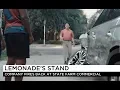 Lemonade s 2018 500 Growth Customer Rated State Farm s Attack Ad