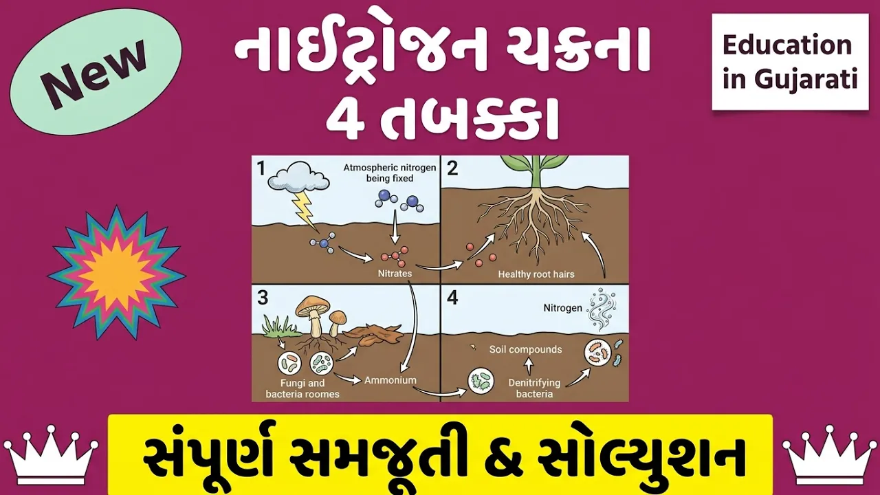 નાઇટ્રોજન ચક્ર