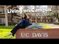 Living on Campus at UC Davis - 2026