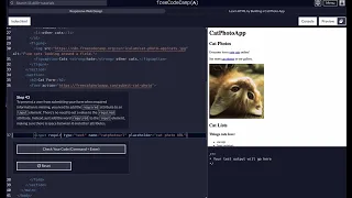 FreeCodeCamp - Responsive Web Design