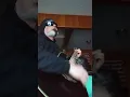 Luke Combs