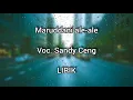 Maruddani ale-ale voc. Sandy ceng (LIRIK)