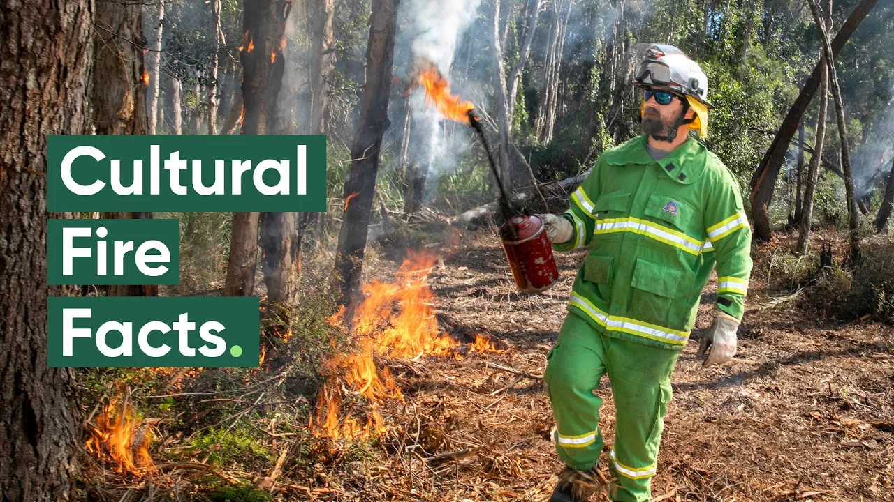 Facts about Cultural Fire: How it's different to conventional bushfire management | WWF-Australia