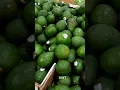 WinCo Foods Supermarket Walking Tour Shop with me at Utah USA
