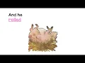 Mrs. Wishy Washy Read-Aloud
