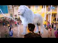 Download Lagu जब भारत नगर के लोगो को बचाने धरती पे उतरा शौर्य | Baalveer Returns | #devjoshi