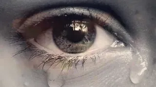                              دندنها