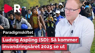 Aspling (SD): Därför måste vi vänta på att medborgarskapen stramas åt