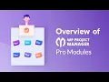 Overview of WP Project manager pro modules