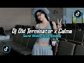 Download Lagu DJ OLD TERMINATOR X CALMA SOUND HEALING STYLE KONDANG X PAPA PILIH MANTANKU VIRAL TIKTOK TERBARU