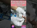 Download Lagu HOW TO CHECK RANDOM BLOOD SUGAR (RBS)