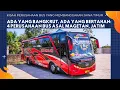 Download Lagu Bangkrut \u0026 Eksis: 4 Perusahaan Bus Asal Magetan, Jawa Timur