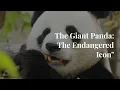 The Giant Panda The Endangered Icon