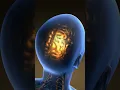 Head Massage is the Greatest Thing You Can Do Dr Mandell
