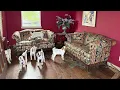 Luxurious Abandoned Texas Mansion FULL of Goats Everything Still inside with BMW