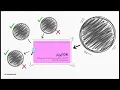 Logical operators in Python Computer Science and Entrepreneurship