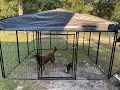 Review on the Game winner dog kennel dog run from Academy Pros and Cons