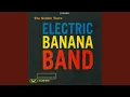 Electric Banana Band