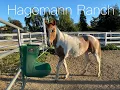 Hagemann Ranch