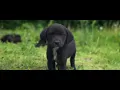 For Chi Aeternus - Dylan John Sparkes | (Meditative Piano Music)
