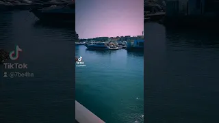 دكن في الجونة 