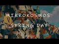 MIKROKOSMOS x SPRING DAY - BTS mashup