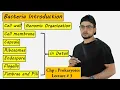 Structures Present in Bacteria And their Functions Prokaryotes
