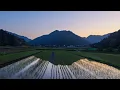 Early Summer Walk through Village and Farmland | Yumesaki, Japan