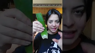 A Mask For Split Ends Frizz And Smoothing Hair Without Cutting It It Becomes Silky Aslawo S 