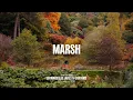 Lagu Marsh DJ Set - Live From Leonardslee Gardens, UK