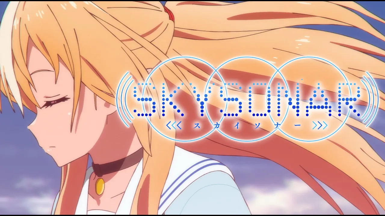 SKYSONAR