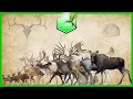 Deer Size Comparison LIVING EXTINCT