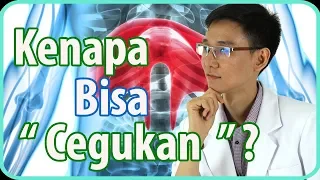 Download Kenapa Kita Bisa Cegukan  MP3