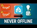 Tuya and Local Tuya final FIX for Home Assistant Never Offline Again
