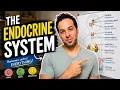 How Hormones Control Your Body Endocrine System