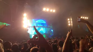 Download Zedd - Alive Lollapalooza Brasil 2016 MP3