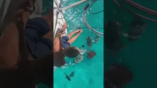 That fish is after captain Ken! 🤣 #shorts