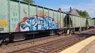                                               دندنها