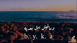 أملي الوحيد وماليش امل قبليه  حالات واتس اب  وائل جسار دندنها