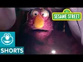 Sesame Street Telly s Blanket Fort