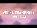 Download Lagu Conan Gray - Vodka Cranberry (Lyrics)