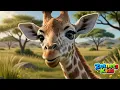Baby Giraffe Says Hello Everyone Cute Giraffe for Kids Zetnets Kids