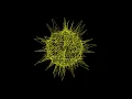 cool python Turtle Graphics python Simulation Corona Virus drawing in python turtle