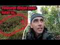 Download Lagu Un îlot de JUNGLE inexploré…